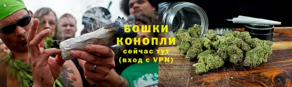 mdpv Белокуриха