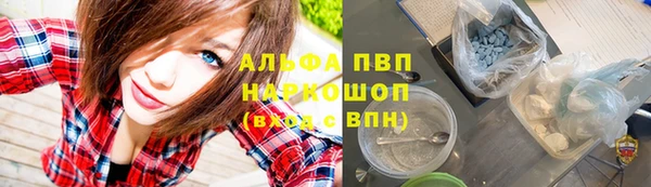 ECSTASY Пересвет