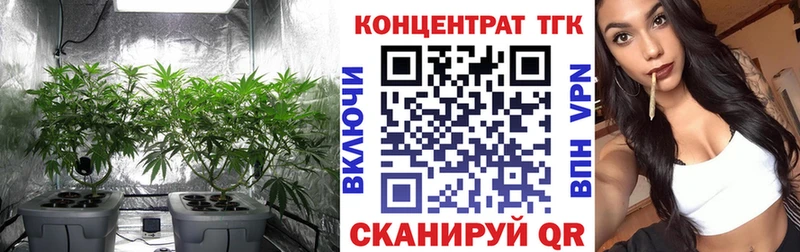 площадка формула  Саяногорск  ТГК вейп с тгк 